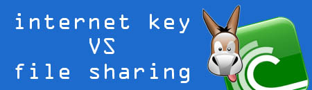 internet_key_p2p